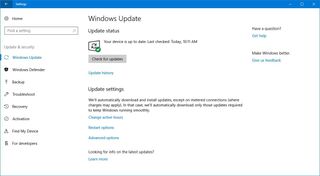 Settings app without Windows Insider Program page