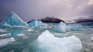 Icebergs floating near face of Sveabreen Glacier in Nordfjorden.
