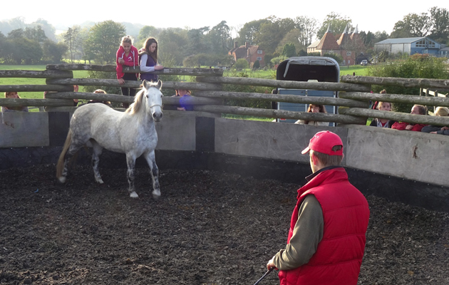 Tom working with Star and Team Tutsham
