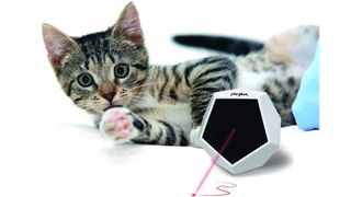 auto laser cat toy