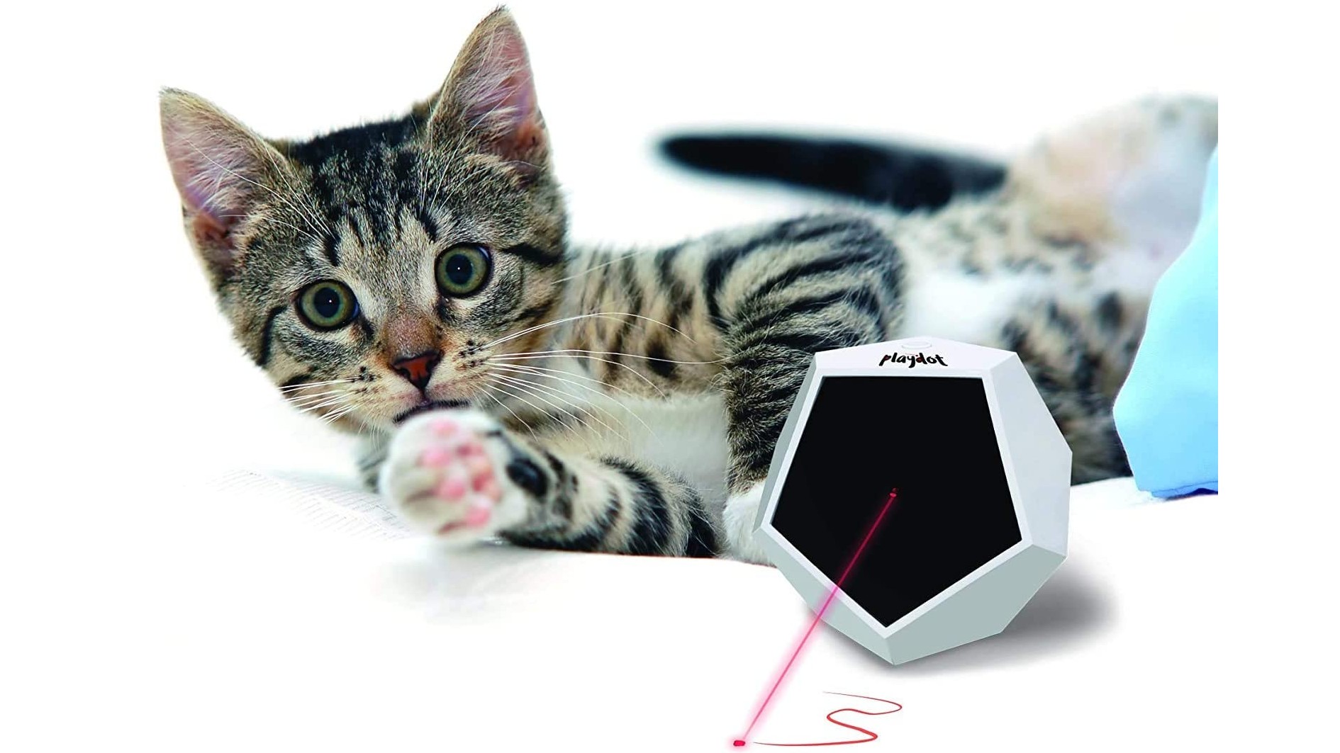best cat laser toy