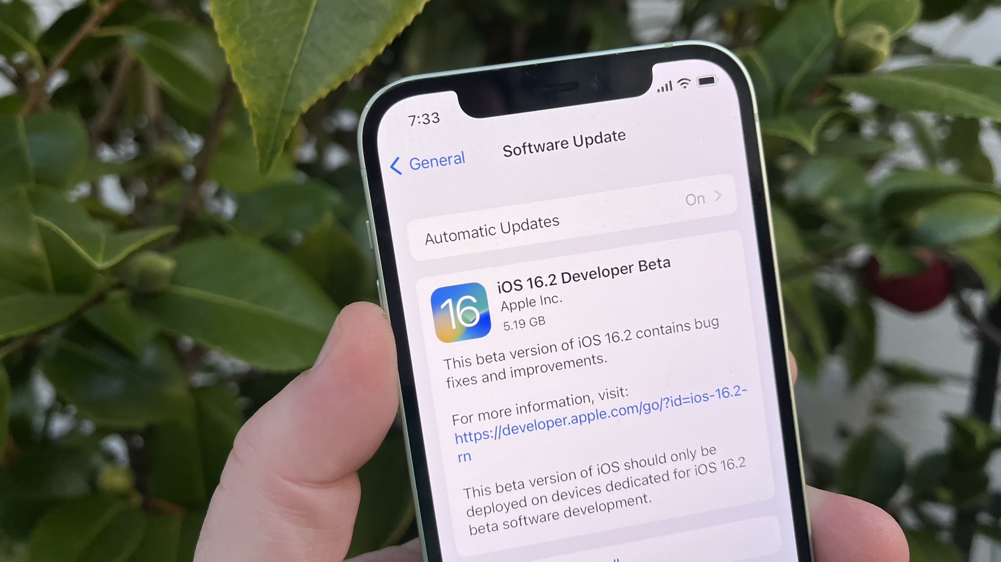 Pantalla de descarga de iOS 16.2 beta 1 en un iPhone frente a una planta