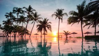 pool and palm trees with sunset in background