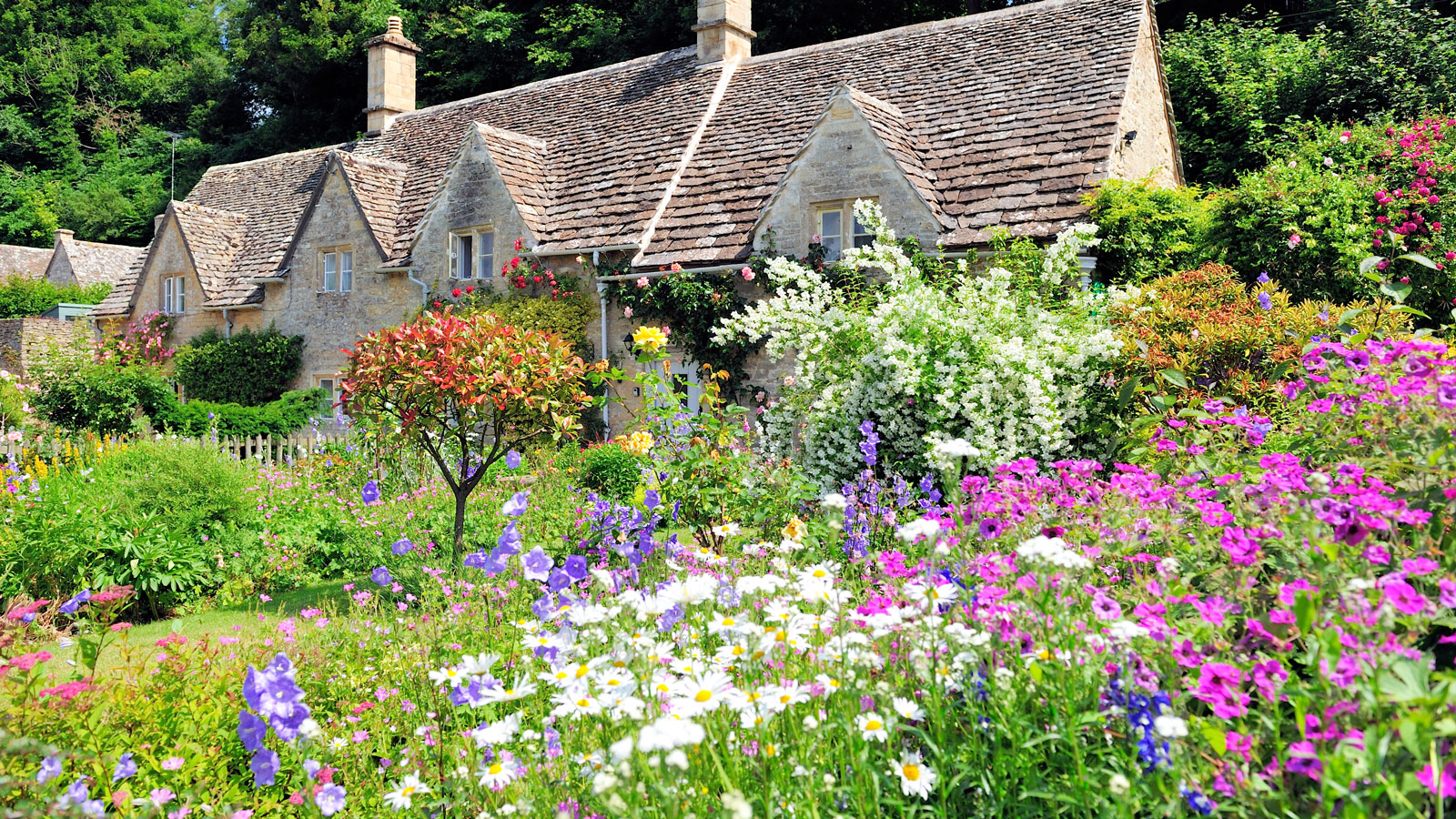 cottagecore flowers and plants with country home