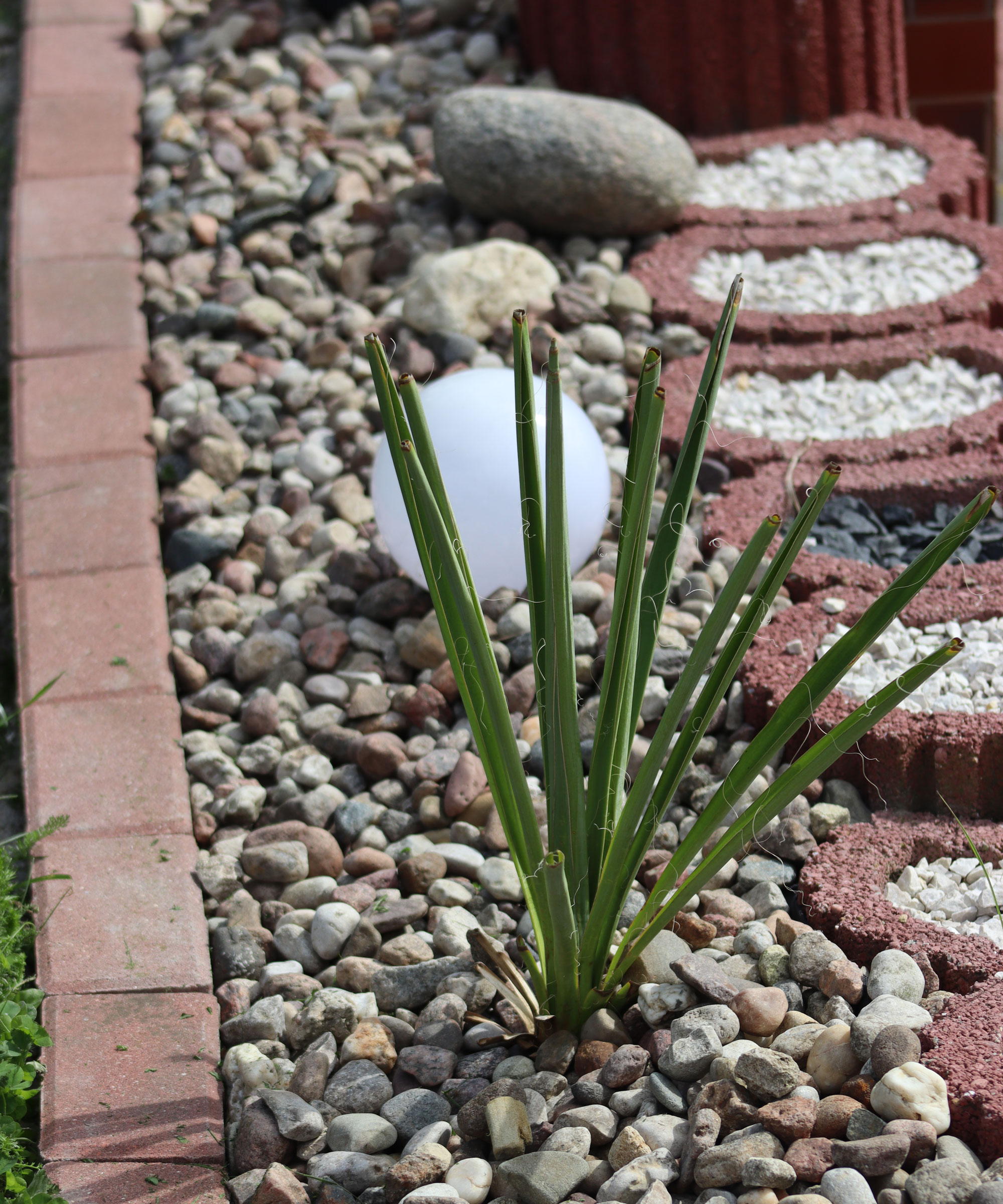 landscaping design with brick edging, gravel, river rocks and succulent plant