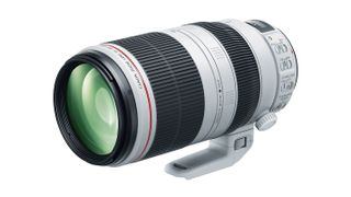 Best Canon telephoto: Canon EF 100-400mm f/4.5-5.6 L IS II USM