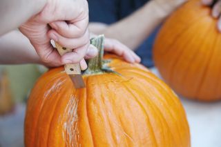 Carving a pumpkin from the top