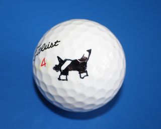 Peter Leicester, Sharpie golf ball marker competition