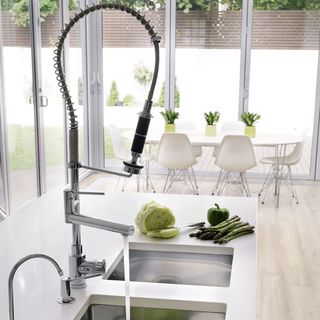 kitchen sink with professional tap