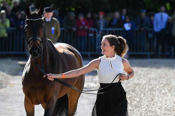 Badminton Horse Trials fashion
