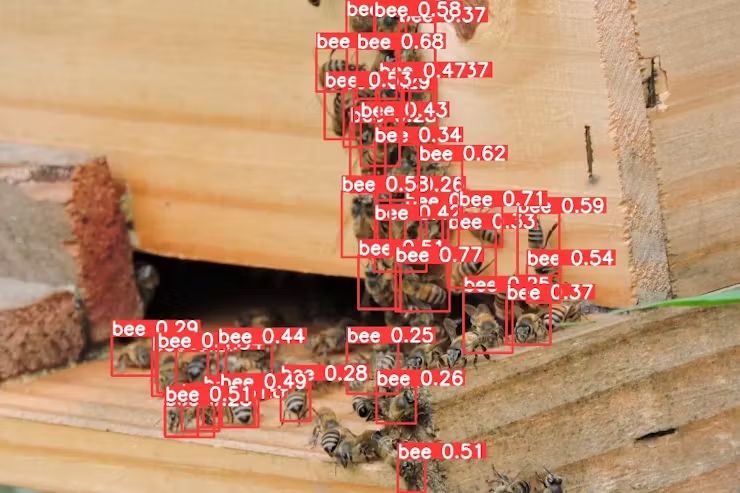 Raspberry Pi