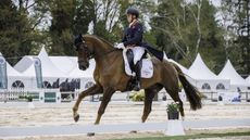 Pau Horse Trials dressage