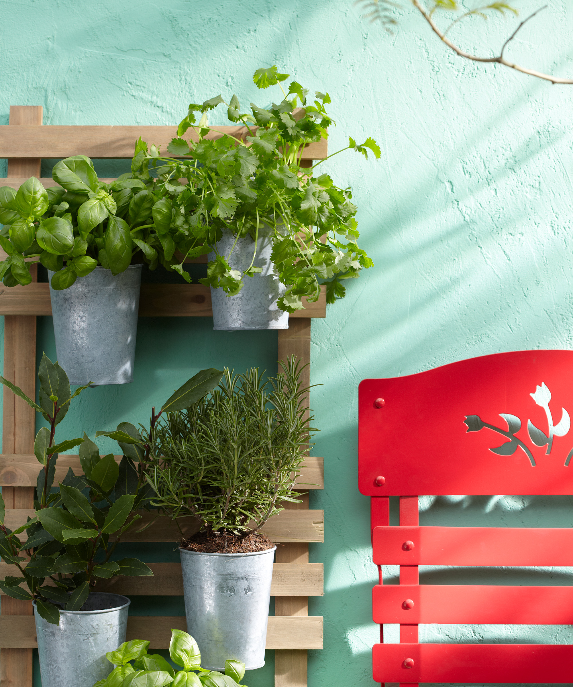 A red chair and potted herbs up against a green wall