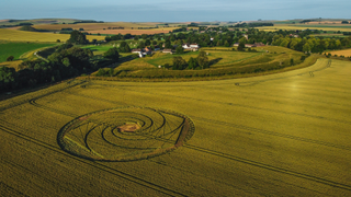 Crop circles in a field outside the village of Avebury, Wiltshire, England