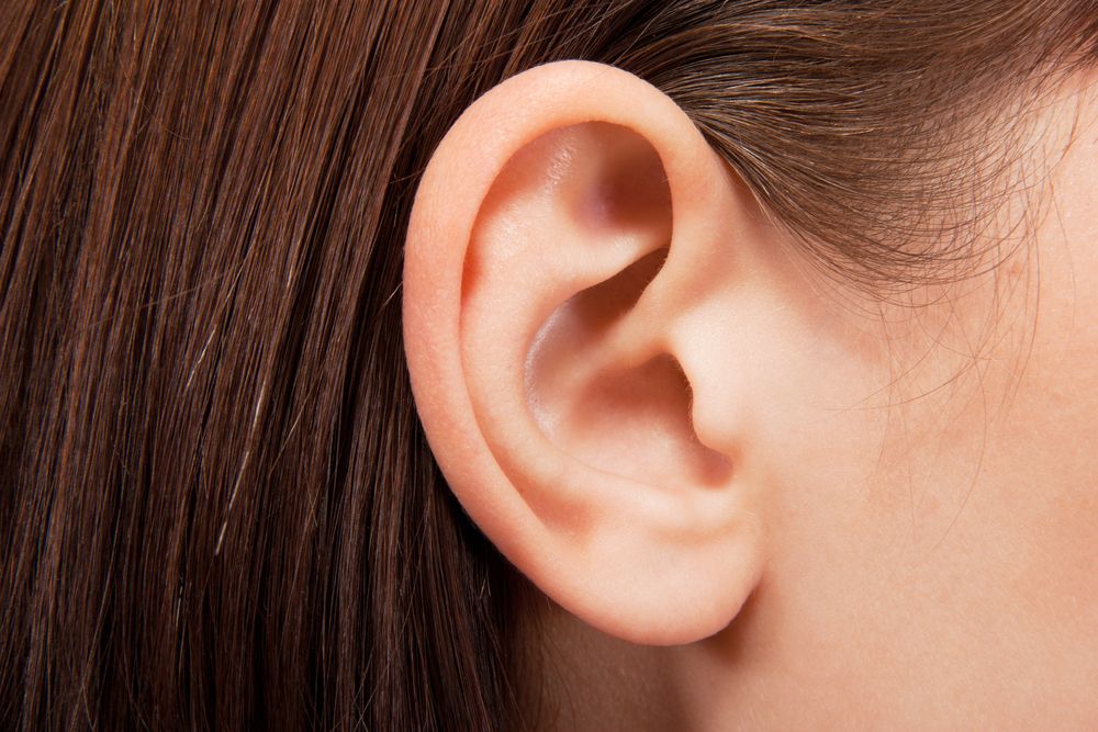 Five Cool Facts about the Middle and Inner Ear