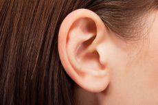 ears, ear anatomy