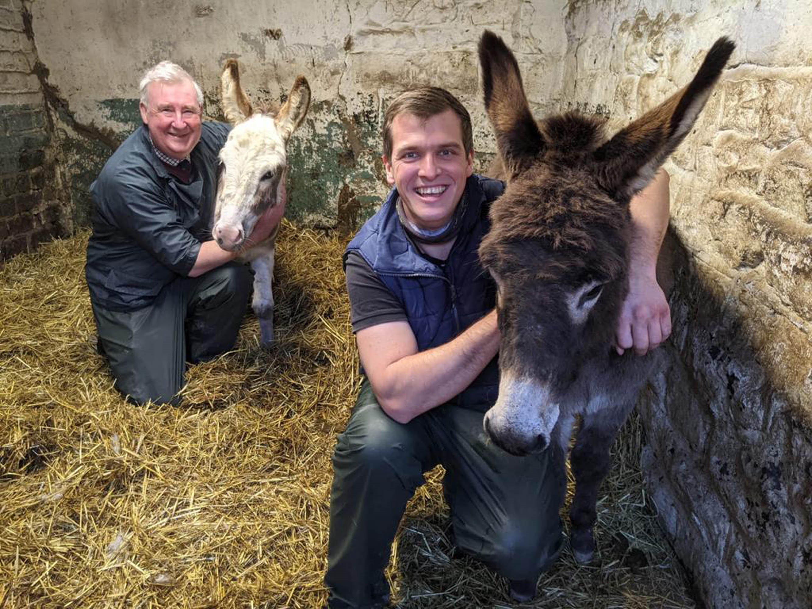 Peter and Matt downsize their treatment for these patients!