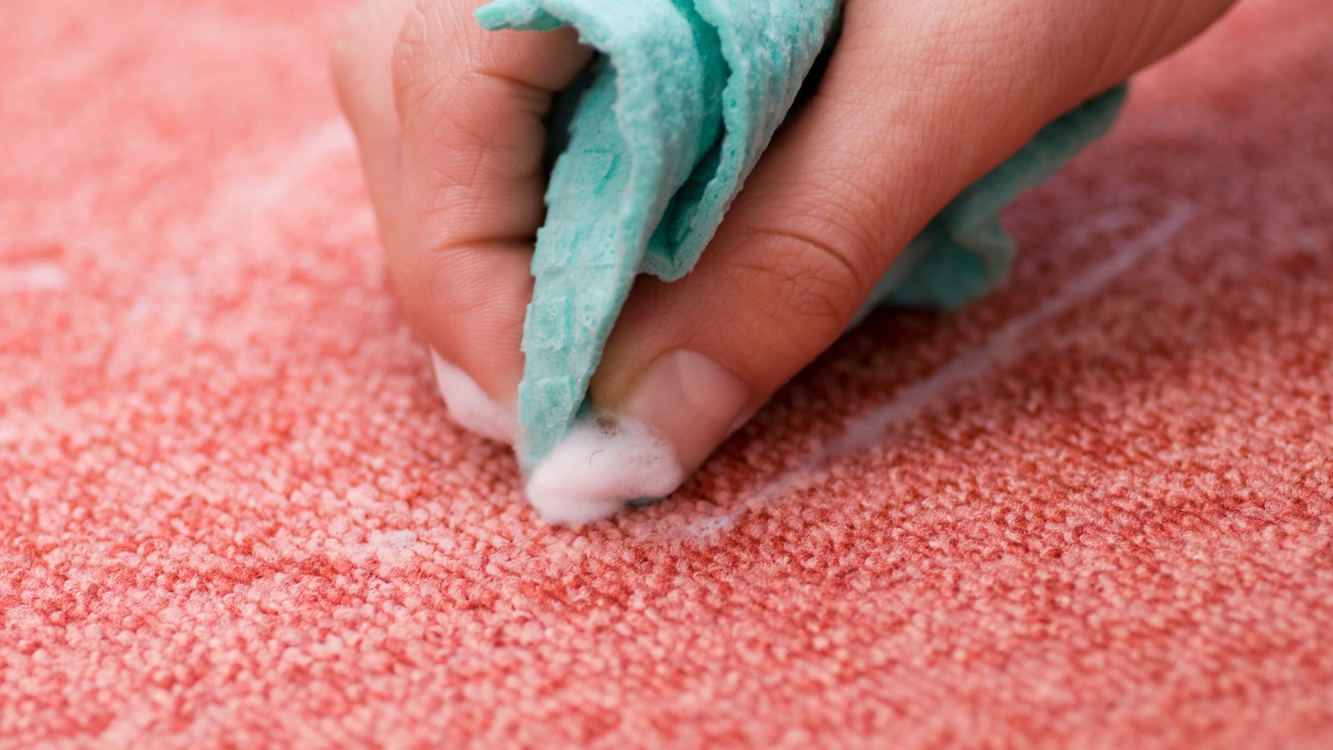 picture of person scrubbing carpet with cloth and cleaning solution