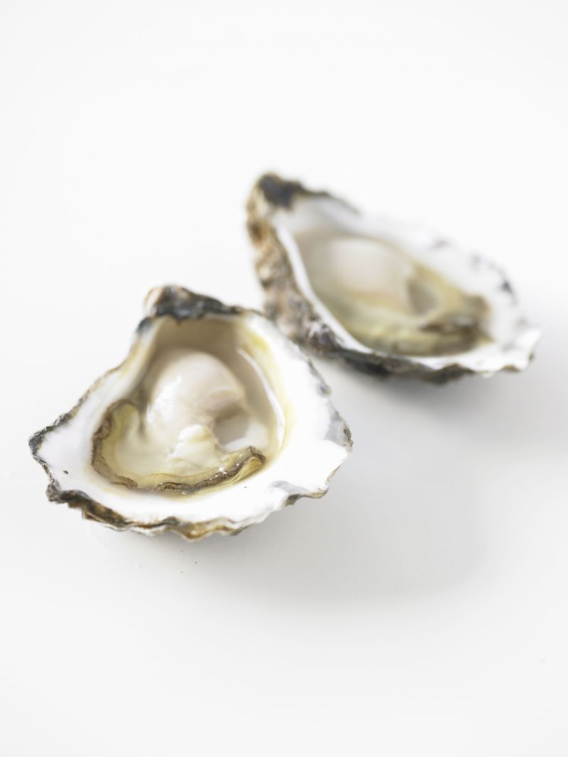 Oyster, Bivalve, Natural material, Shell, Shellfish, Seafood, Molluscs, Abalone, Clam, Delicacy,
