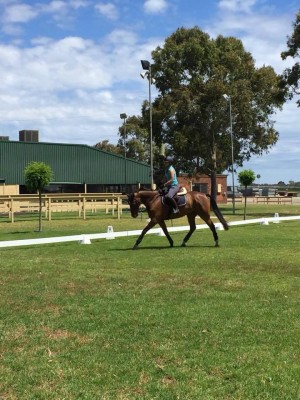 Schooling Hilly