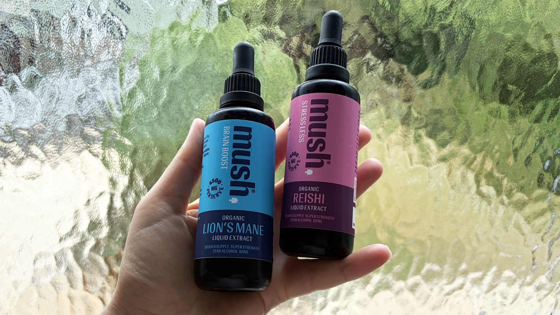 A hand holding a bottle of Lovemush Lion's Mane Brain Boost Extract and Reishi Stressless extract