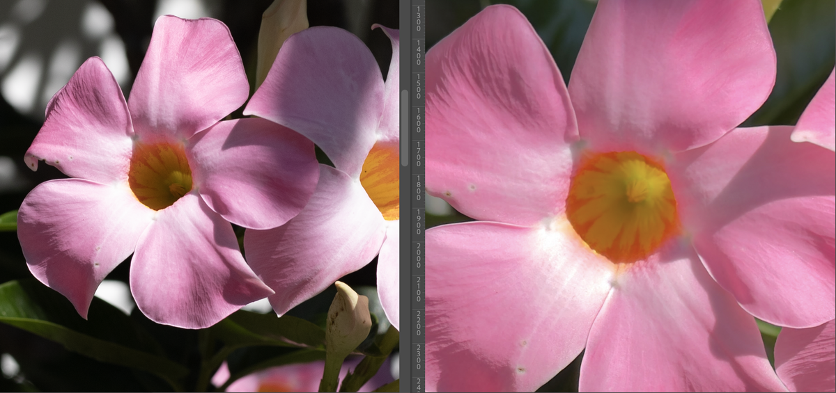Images RAW test