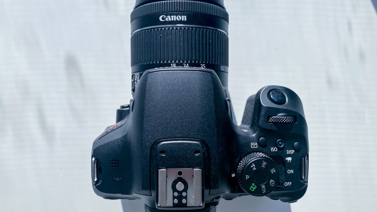 canon eos rebel t8i used