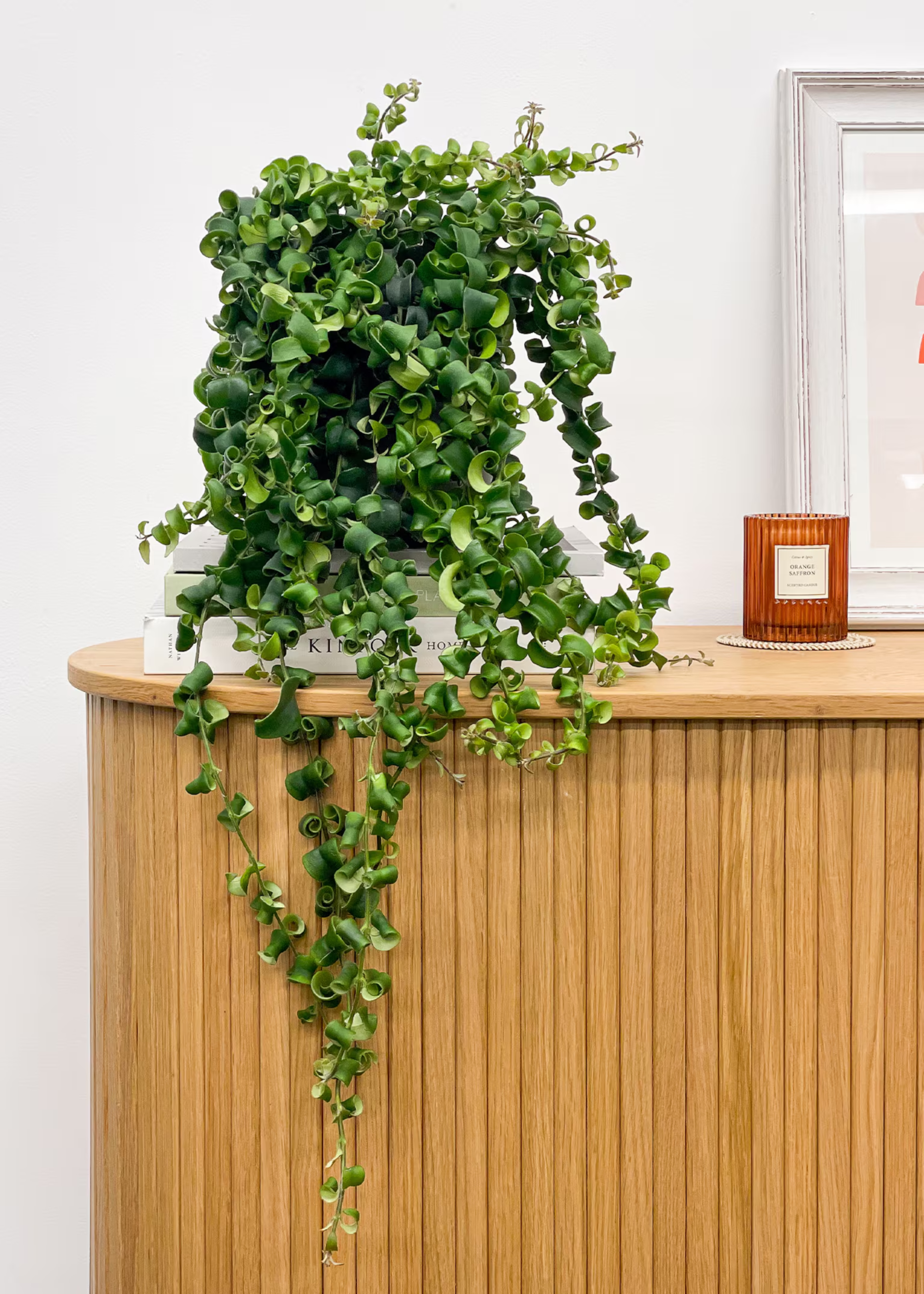 A lipstick plant trailing off a wood sideboard