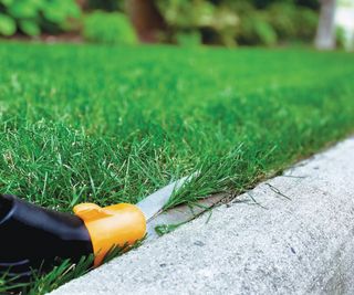 Close-up of grass shears cutting edge of lawn next to curb