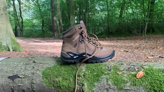 Low Renegade GTX boot on a fallen tree