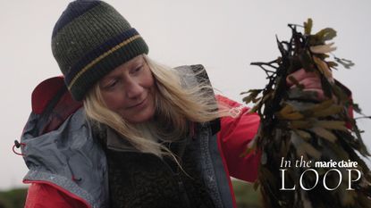 Lisa Oxenham hand harvesting seaweed