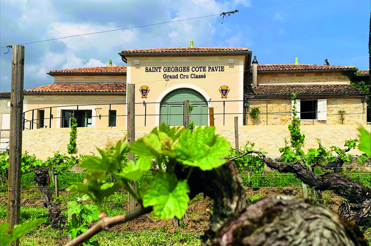Ch&amp;acirc;teau St-Georges C&amp;ocirc;te Pavie