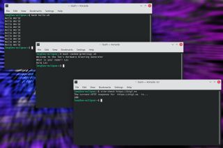 How-To Write Bash Scripts in Linux