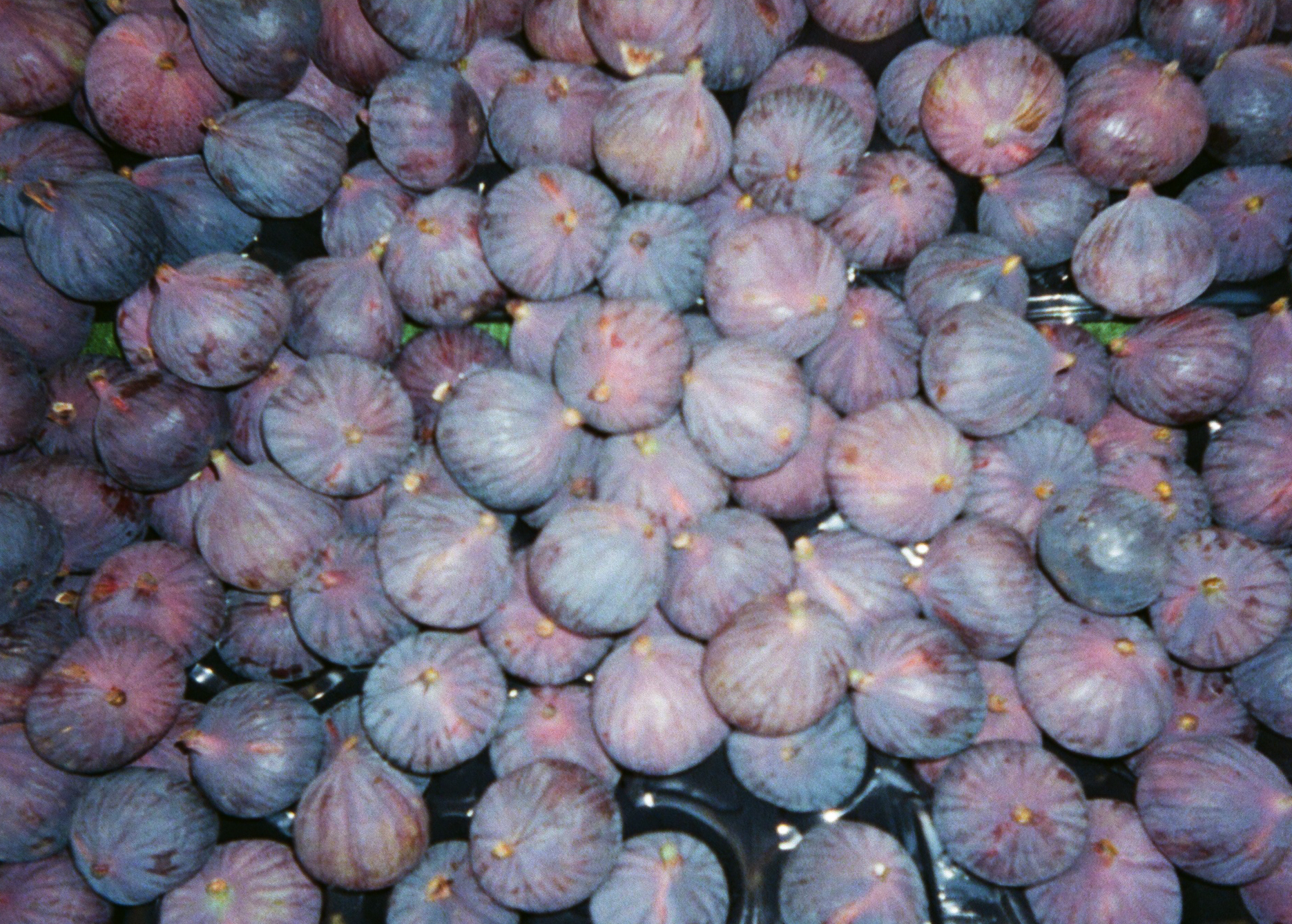 Photo of fruit taken with the Kodak Ektar H35 half frame camera