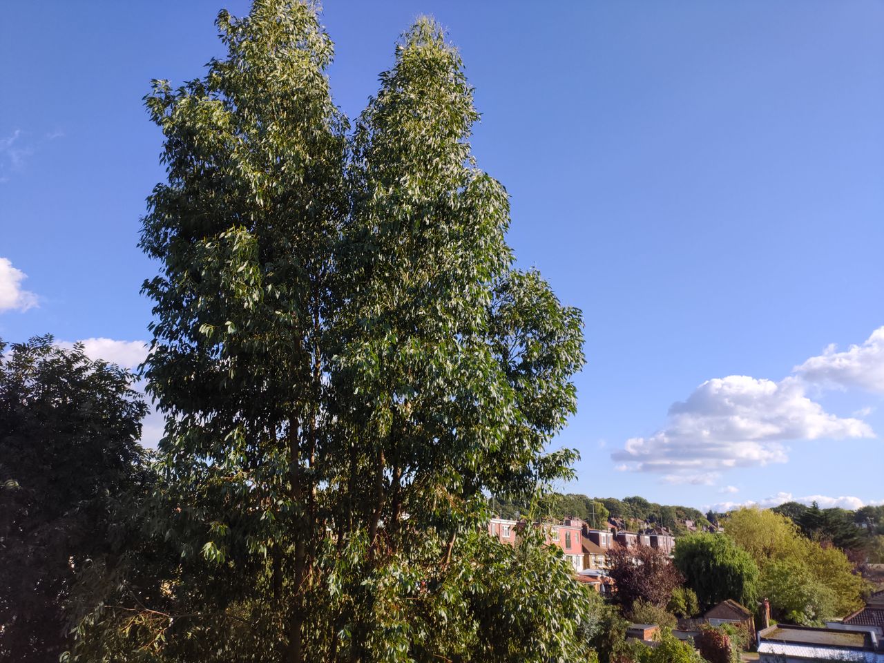 Primary camera landscape sample.