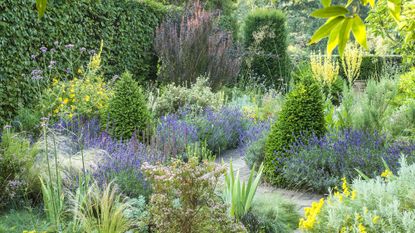 How to plan a dry garden – the dry garden at Cambridge Botanic Garden