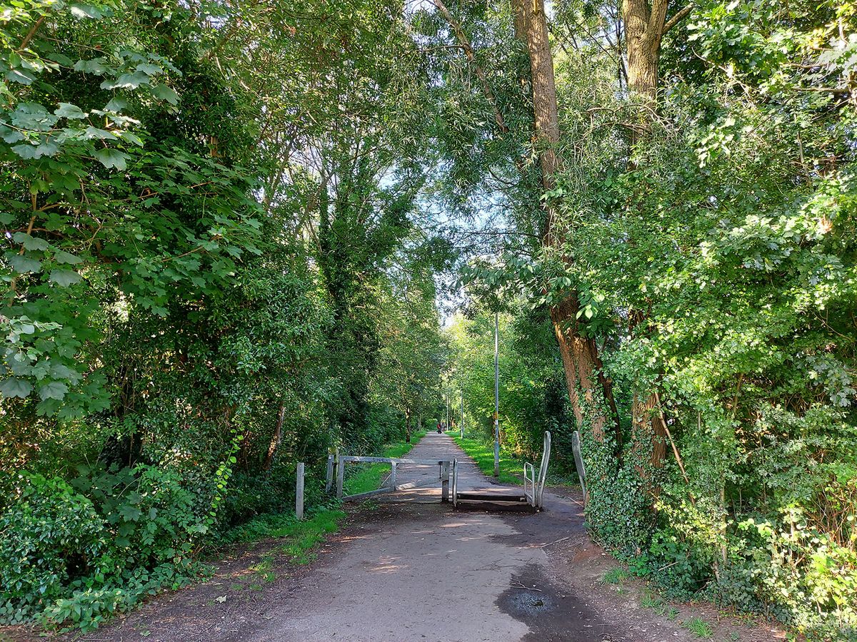 Samsung Galaxy S10 Lite camera sample