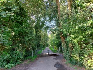 Samsung Galaxy S10 Lite camera sample