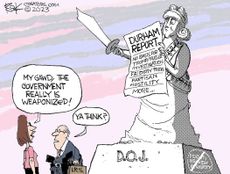 Political Cartoon