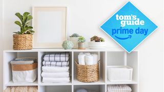 Home storage baskets on white shelves