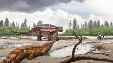 Newfound ankylosaur