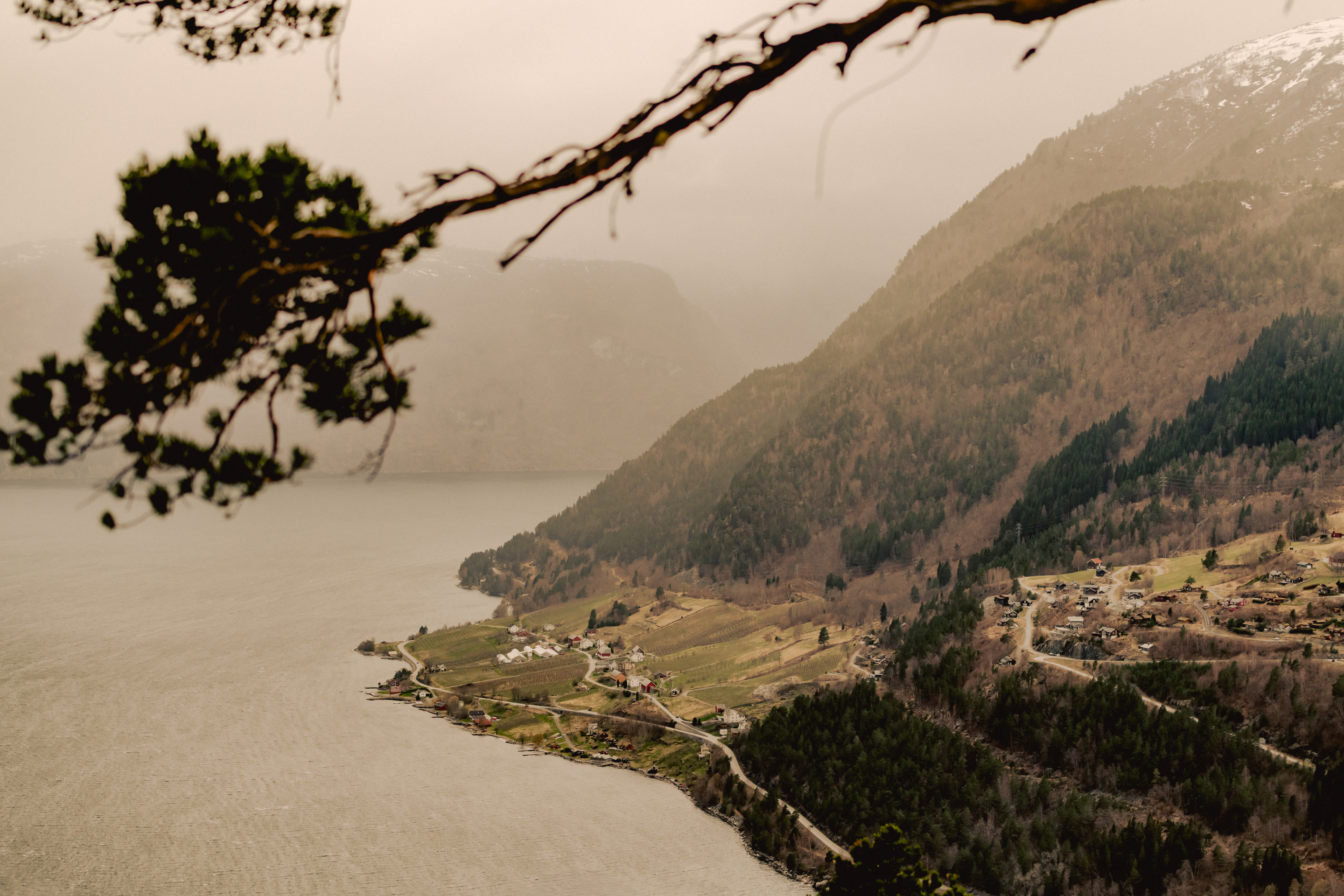 The house has spectacular views over the fjord
