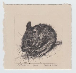 Leslie's drypoint field mouse in all its glory