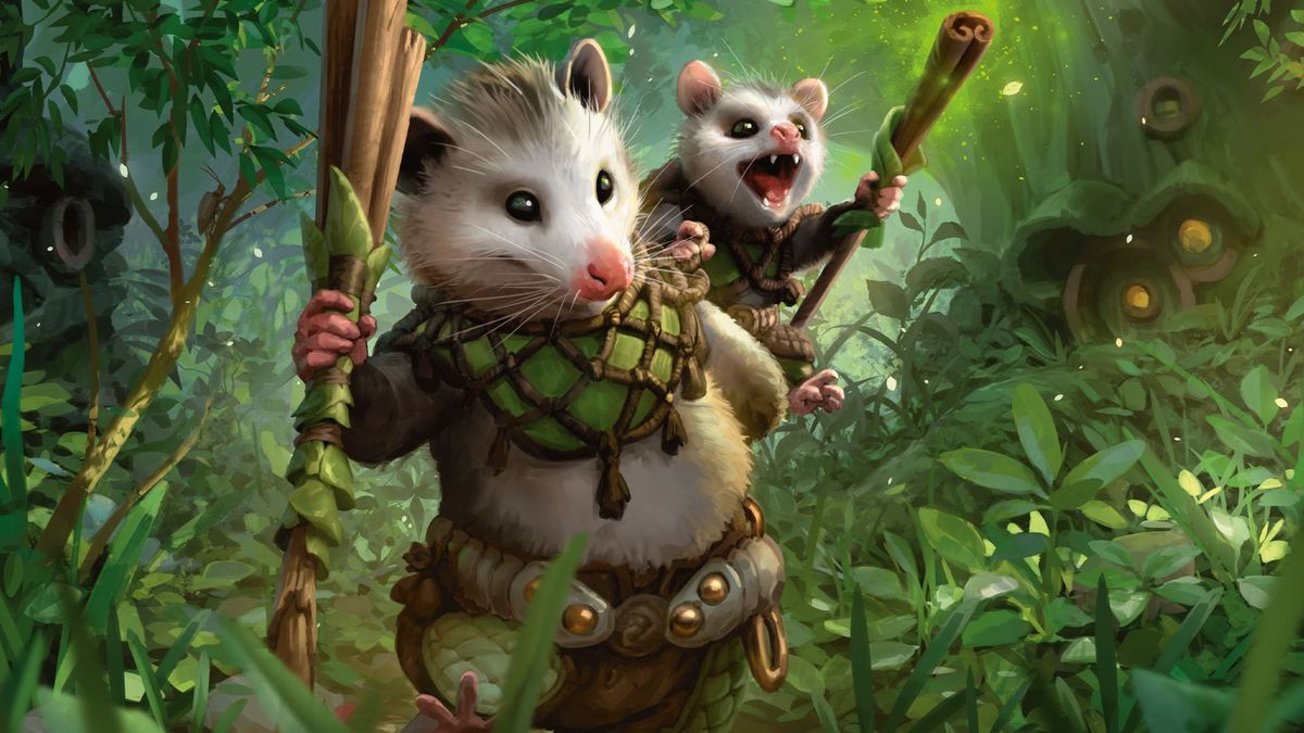 Two opossums walk through the woods.