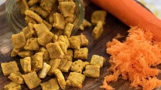 Carrot and catnip kitty cat treats