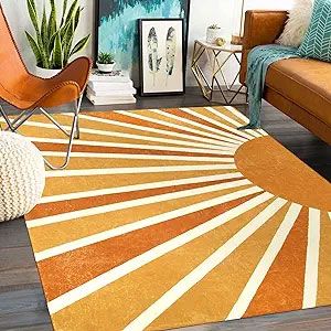 Washable sun rug
