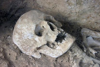 Ancient skulls reveal history of human lactose tolerance