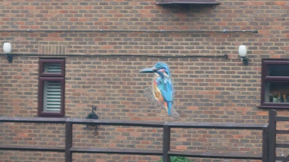 Sony Xperia 1 III camera test