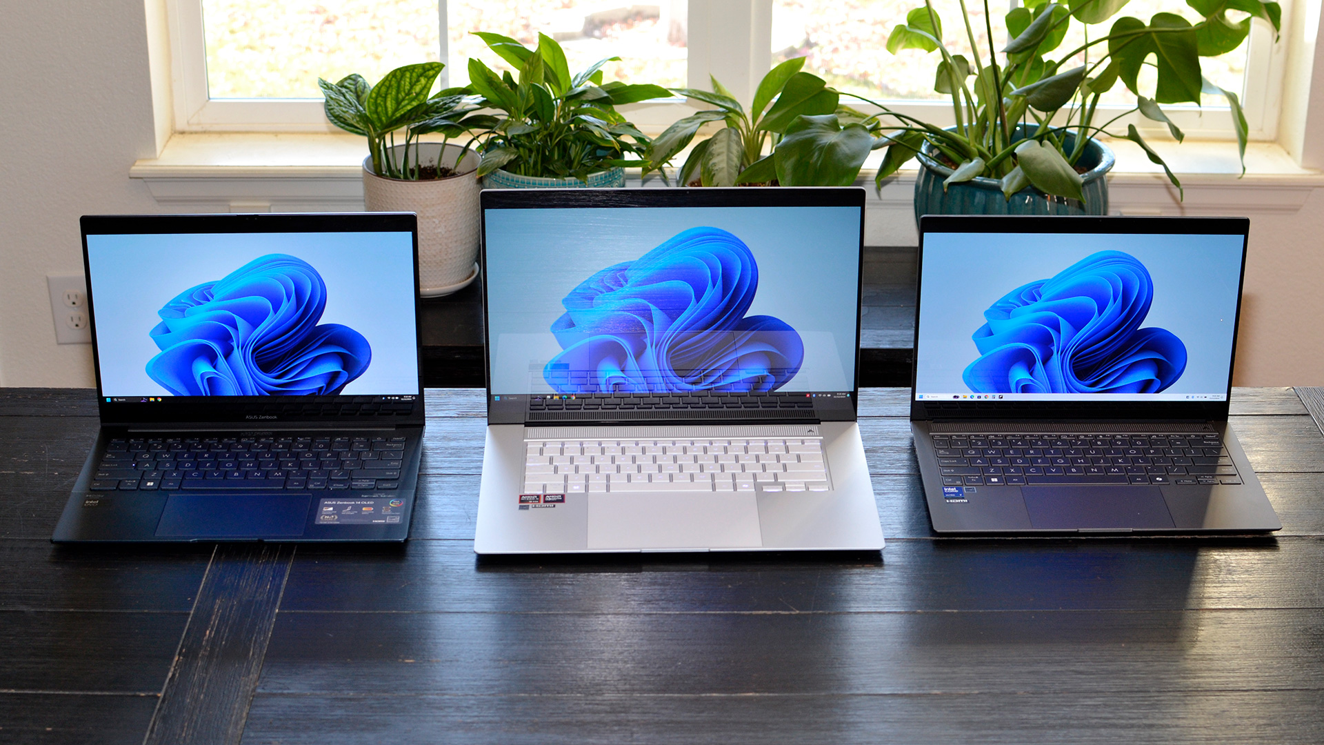 From left to right: Lunar Lake Zenbook S14, Strix Point Zenbook S16, and Meteor Lake Zenbook 14 OLED