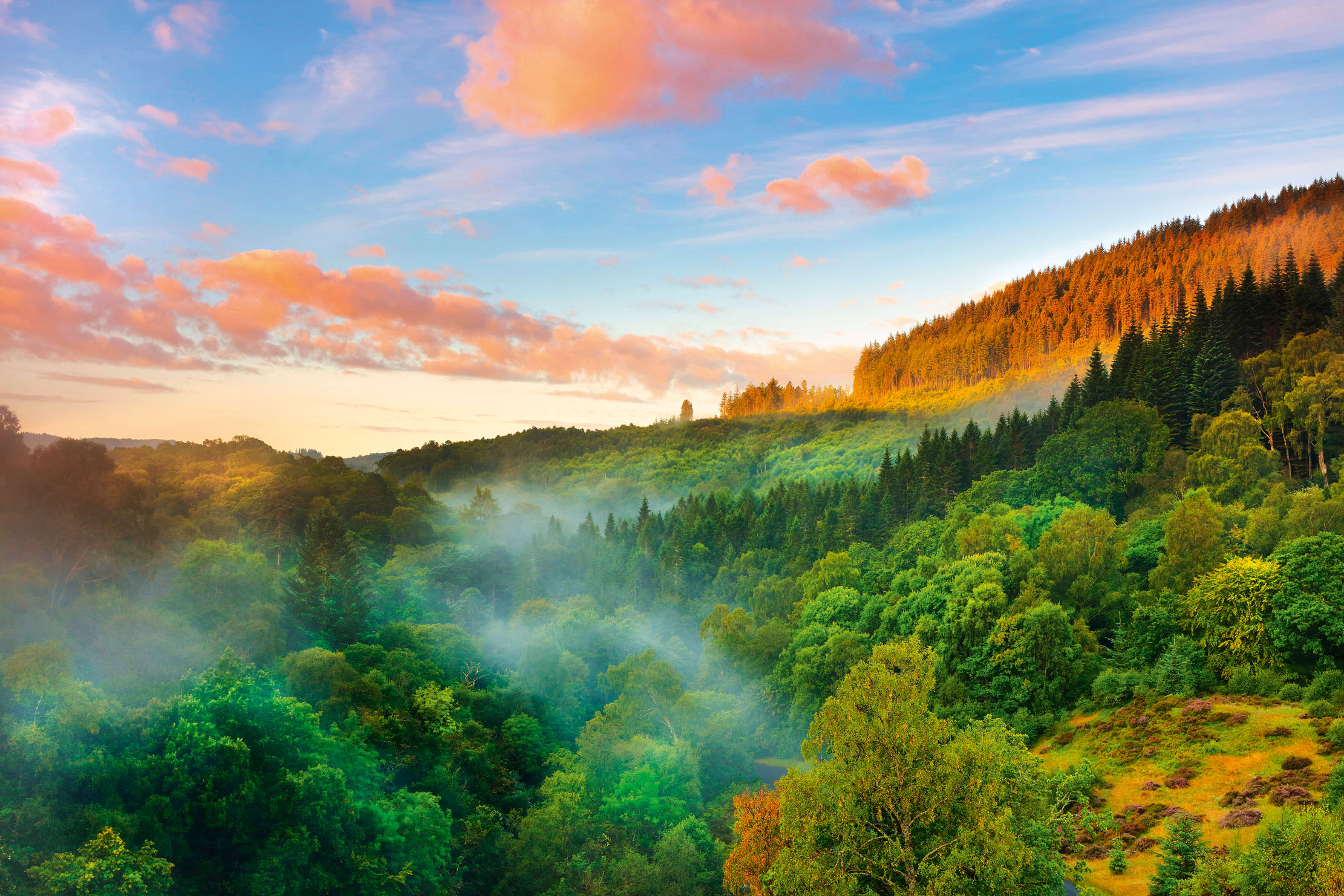 Mist rising from a Forrest at Glen Finglas, in the Trossachs National Park, which was bought by the Woodland Trust in 1996.